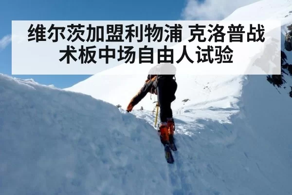 维尔茨加盟利物浦 克洛普战术板中场自由人试验