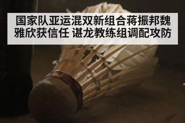 国家队亚运混双新组合蒋振邦魏雅欣获信任 谌龙教练组调配攻防
