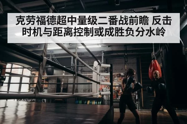 boxer training gym
